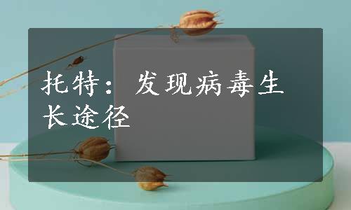 托特：发现病毒生长途径