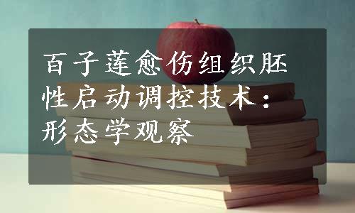 百子莲愈伤组织胚性启动调控技术：形态学观察