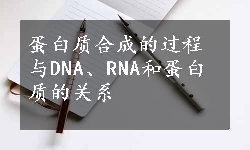 蛋白质合成的过程与DNA、RNA和蛋白质的关系