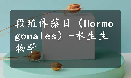 段殖体藻目（Hormogonales）-水生生物学