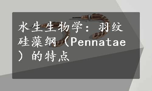 水生生物学：羽纹硅藻纲（Pennatae）的特点