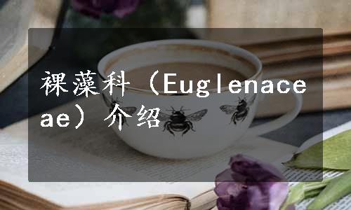 裸藻科（Euglenaceae）介绍