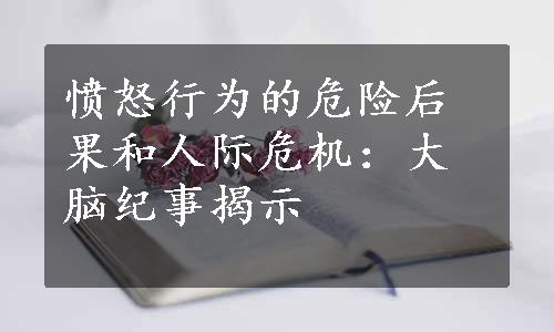 愤怒行为的危险后果和人际危机：大脑纪事揭示