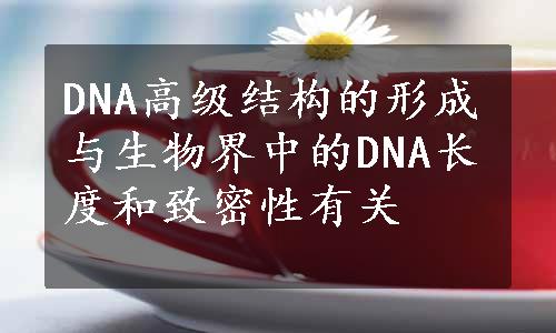 DNA高级结构的形成与生物界中的DNA长度和致密性有关