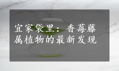 宜家袋里：香莓藤属植物的最新发现