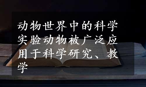 动物世界中的科学实验动物被广泛应用于科学研究、教学