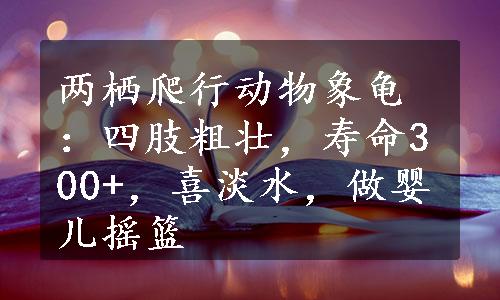 两栖爬行动物象龟：四肢粗壮，寿命300+，喜淡水，做婴儿摇篮