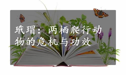 玳瑁：两栖爬行动物的危机与功效