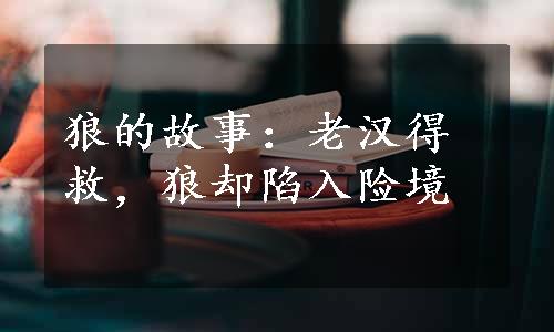 狼的故事：老汉得救，狼却陷入险境