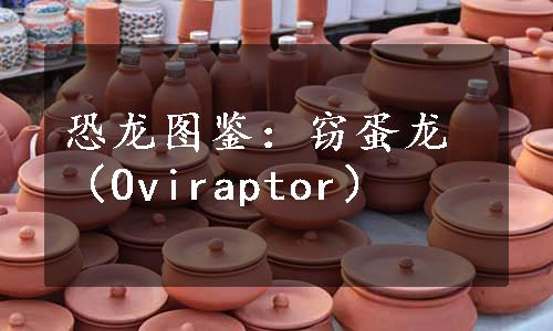 恐龙图鉴：窃蛋龙（Oviraptor）