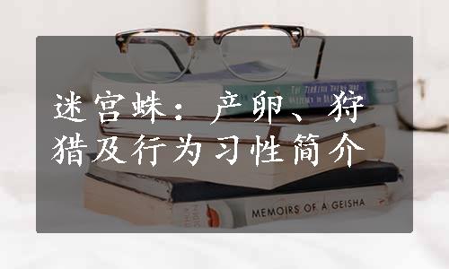 迷宫蛛：产卵、狩猎及行为习性简介