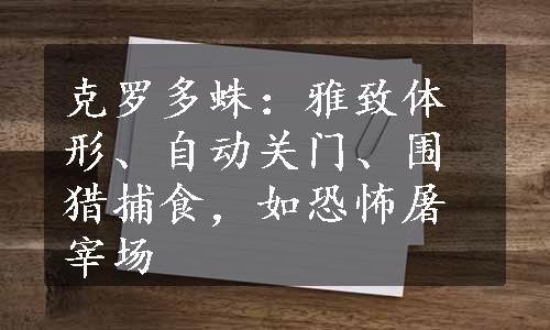 克罗多蛛：雅致体形、自动关门、围猎捕食，如恐怖屠宰场