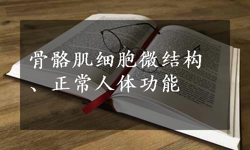 骨骼肌细胞微结构、正常人体功能