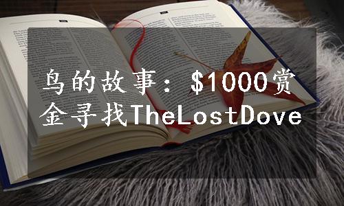 鸟的故事：$1000赏金寻找TheLostDove