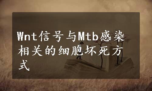 Wnt信号与Mtb感染相关的细胞坏死方式