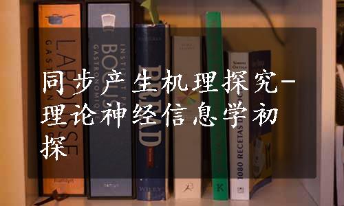 同步产生机理探究-理论神经信息学初探