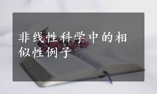 非线性科学中的相似性例子