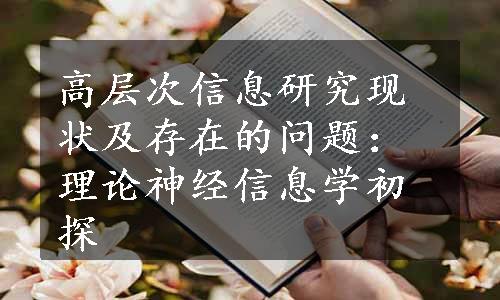 高层次信息研究现状及存在的问题：理论神经信息学初探