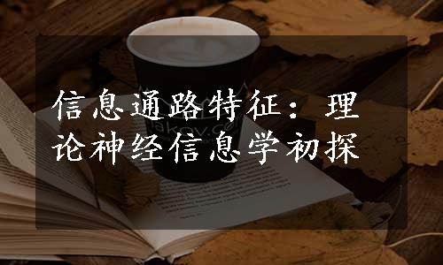 信息通路特征：理论神经信息学初探