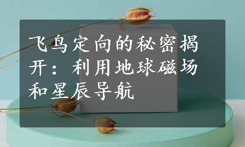 飞鸟定向的秘密揭开：利用地球磁场和星辰导航