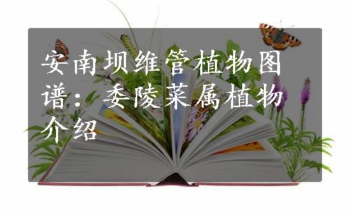 安南坝维管植物图谱：委陵菜属植物介绍