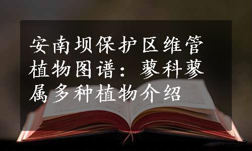 安南坝保护区维管植物图谱：蓼科蓼属多种植物介绍