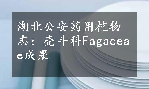 湖北公安药用植物志：壳斗科Fagaceae成果