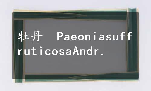 牡丹　PaeoniasuffruticosaAndr.