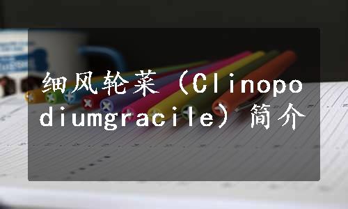 细风轮菜（Clinopodiumgracile）简介