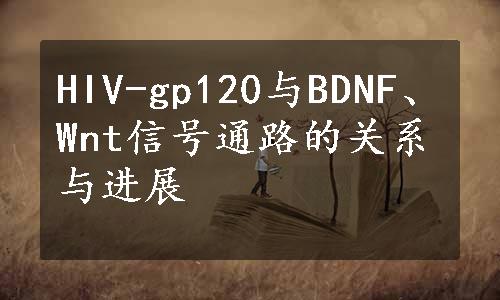 HIV-gp120与BDNF、Wnt信号通路的关系与进展