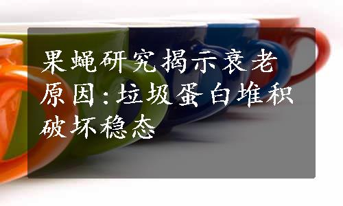 果蝇研究揭示衰老原因:垃圾蛋白堆积破坏稳态