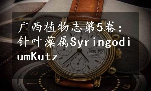 广西植物志第5卷：针叶藻属SyringodiumKutz