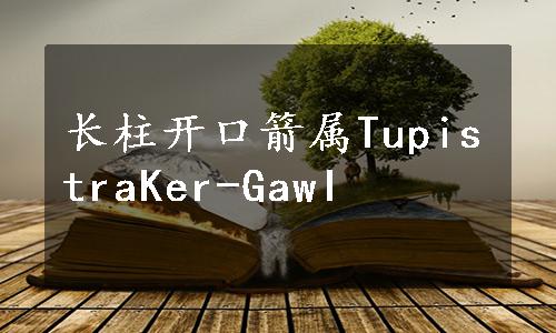 长柱开口箭属TupistraKer-GawI