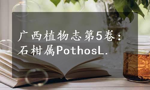 广西植物志第5卷：石柑属PothosL.