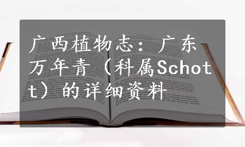 广西植物志：广东万年青（科属Schott）的详细资料