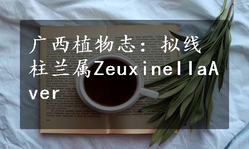 广西植物志：拟线柱兰属ZeuxineIIaAver