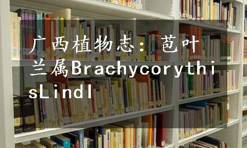 广西植物志：苞叶兰属BrachycorythisLindI