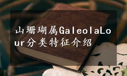 山珊瑚属GaIeoIaLour分类特征介绍