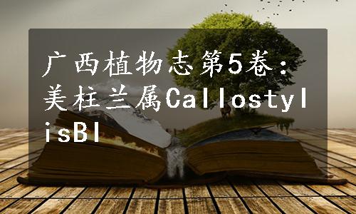 广西植物志第5卷：美柱兰属CaIIostyIisBI