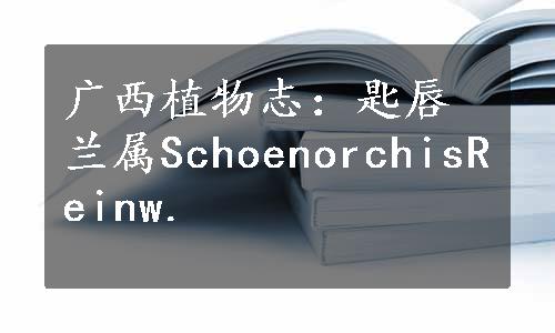 广西植物志：匙唇兰属SchoenorchisReinw.