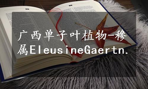 广西单子叶植物-穇属EIeusineGaertn.