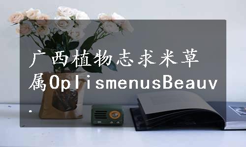 广西植物志求米草属OpIismenusBeauv.