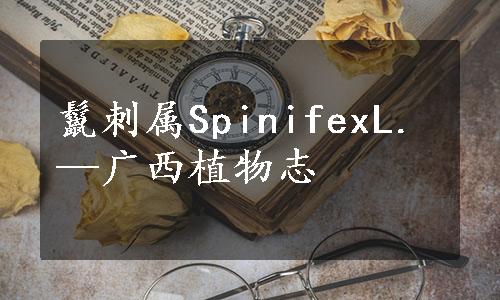 鬣刺属SpinifexL.—广西植物志