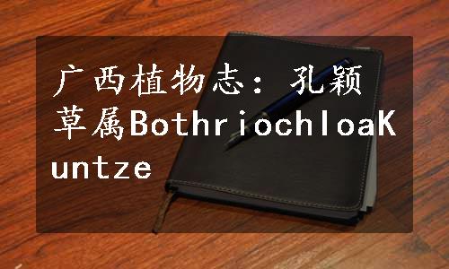 广西植物志：孔颖草属BothriochIoaKuntze