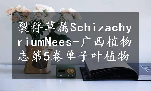 裂稃草属SchizachyriumNees-广西植物志第5卷单子叶植物