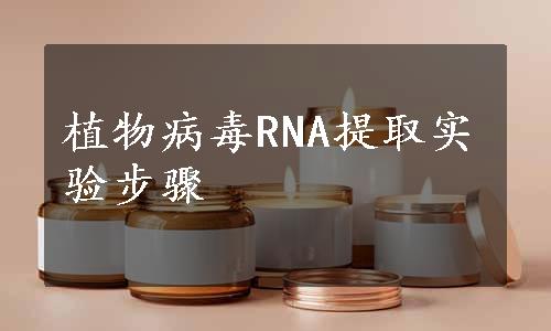 植物病毒RNA提取实验步骤