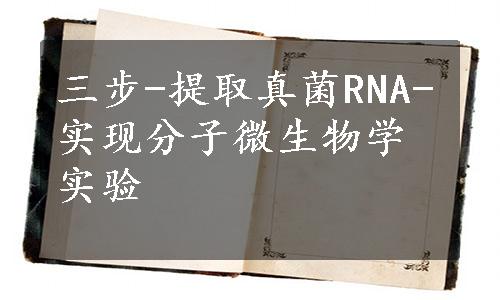 三步-提取真菌RNA-实现分子微生物学实验