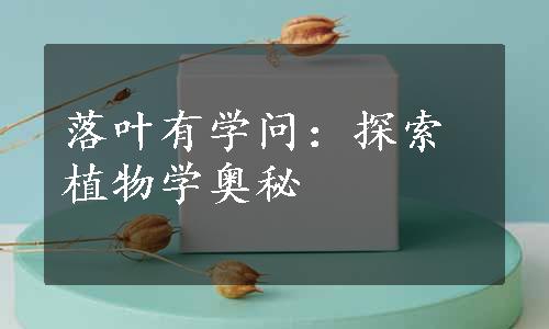 落叶有学问：探索植物学奥秘