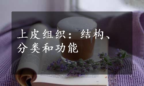 上皮组织：结构、分类和功能