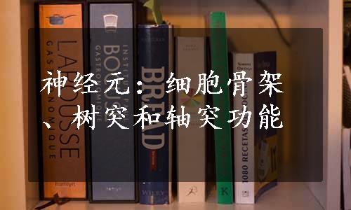 神经元：细胞骨架、树突和轴突功能